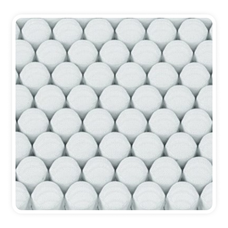 SOTA SPRING.jpg SOTA SPRING.jpg